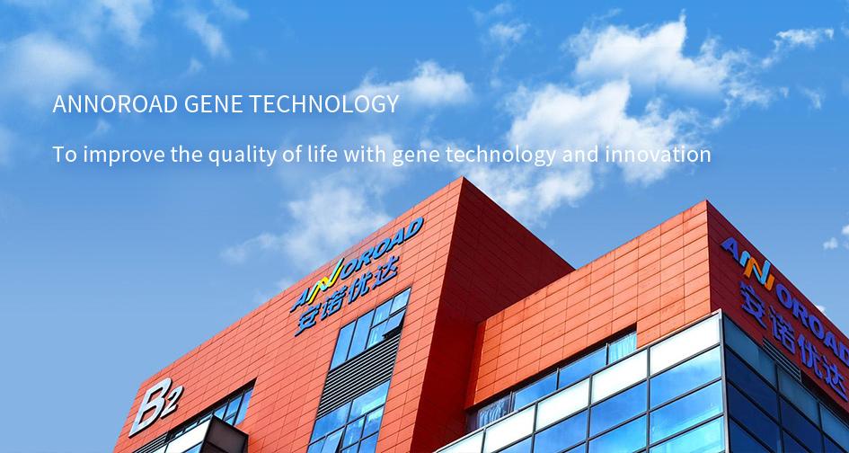 The “Growth Code” of the Specialized and Sophisticated Enterprises in Beijing Economic-Technological Development Area
